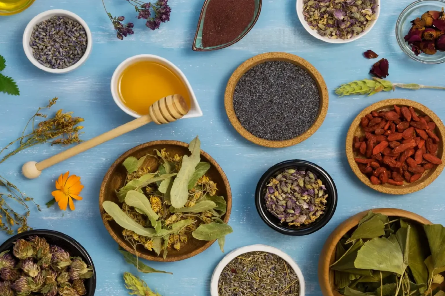 Department of Herbal Sciences